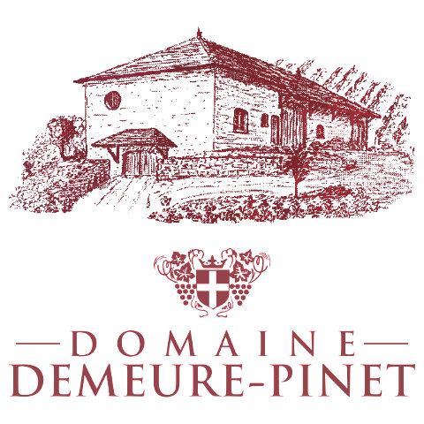 Logo Domaine Demeure Pinet