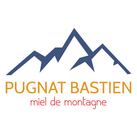 Logo Pugnat Bastien